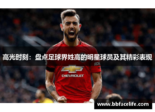 高光时刻：盘点足球界姓高的明星球员及其精彩表现