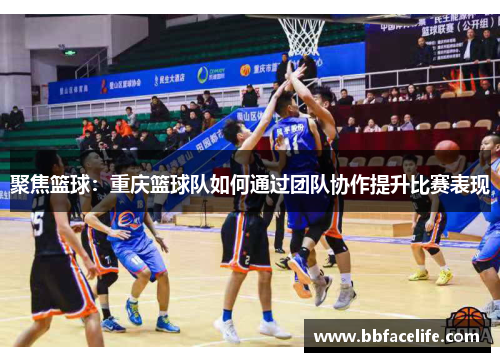 聚焦篮球：重庆篮球队如何通过团队协作提升比赛表现