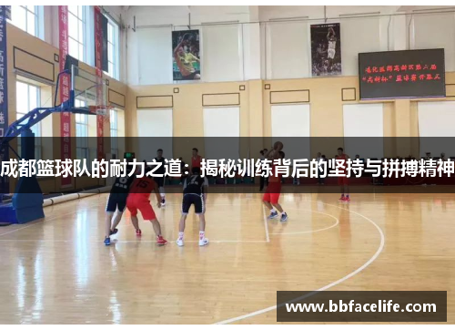 成都篮球队的耐力之道：揭秘训练背后的坚持与拼搏精神