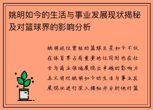 姚明如今的生活与事业发展现状揭秘及对篮球界的影响分析